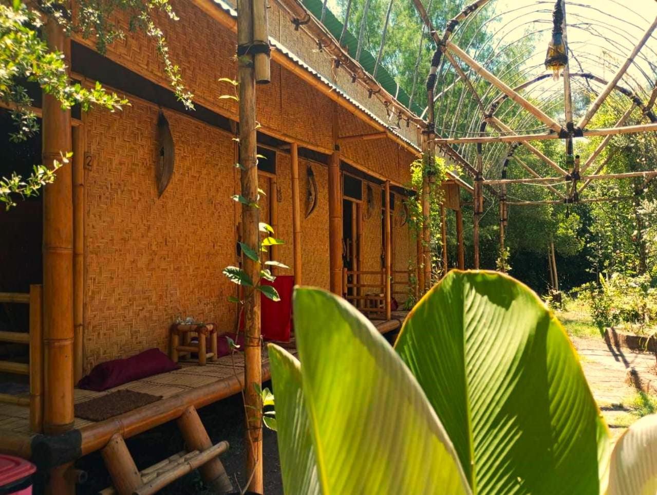 Albergue Uncle Hippie'S Dream Gili Meno Exterior foto