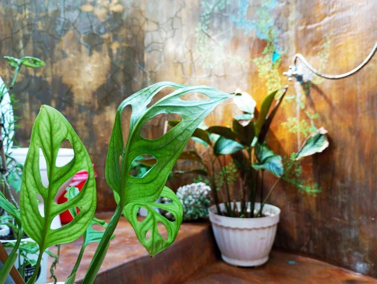 Albergue Uncle Hippie'S Dream Gili Meno Exterior foto