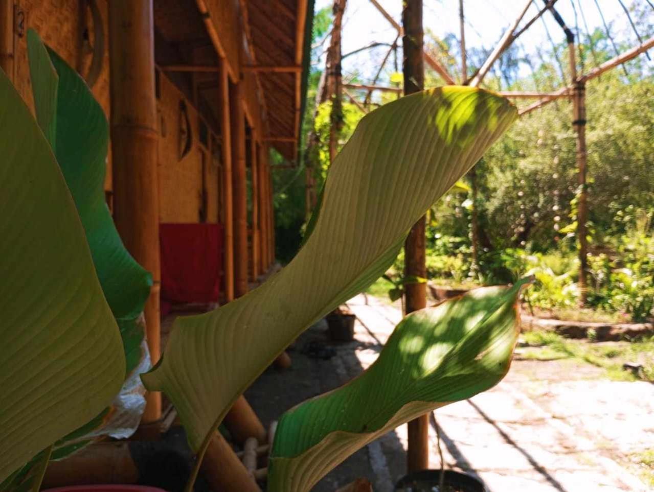 Albergue Uncle Hippie'S Dream Gili Meno Exterior foto